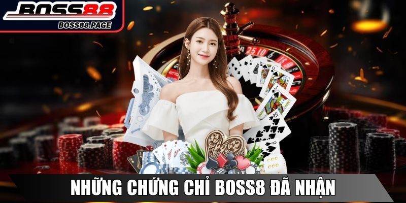 Những chứng chỉ Boss8 đã nhận